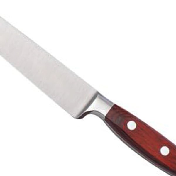 Stainless Fillet knife