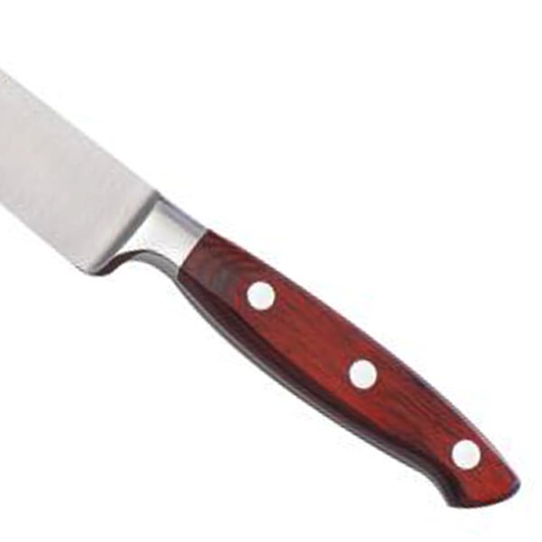 Fillet Knife with 5 Inches Handle